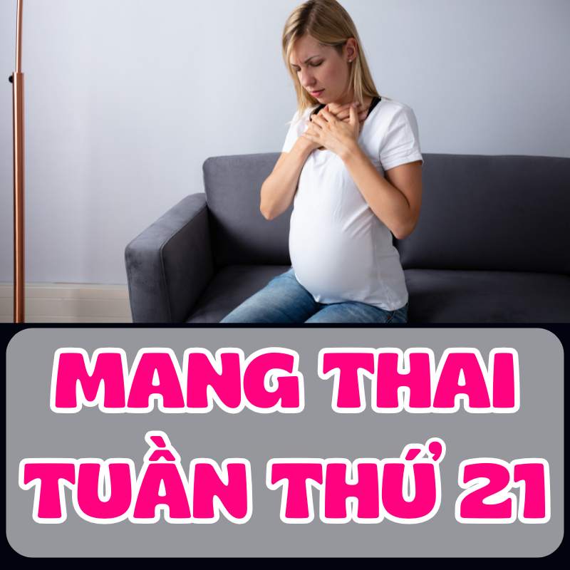 Mang thai tuần thứ 21 và các triệu chứng thường gặp